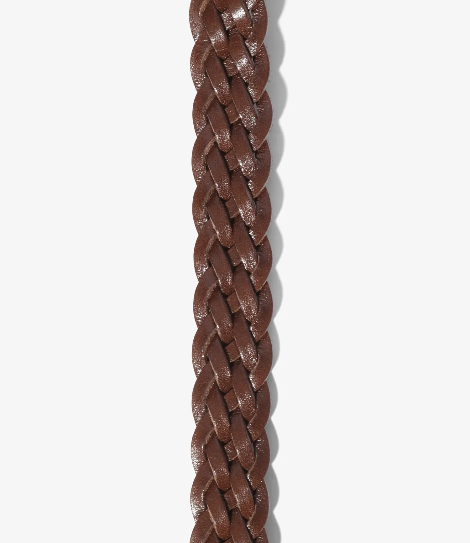 Wing Tip 5-Ply Belt 2 Loops - Regular - Brown - Image 3